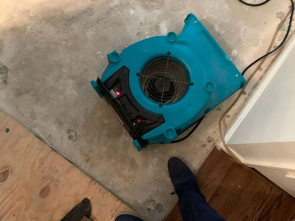 Air mover drying subfloor during Leak Detection & Repair in East Buffalo
